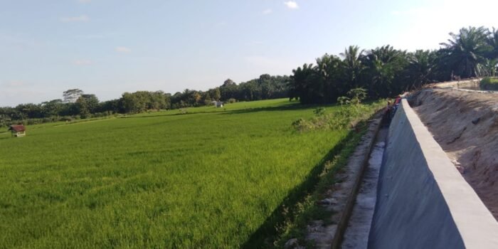 IMG-20260729-WA0181